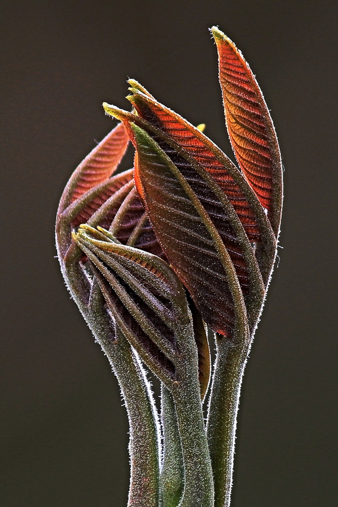 Dagmar Fila - Spring is in the air (Modlitba  za jar) - 12