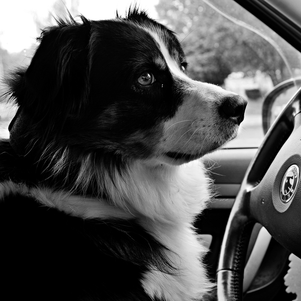 Lenka Dvořáková - Černobílý portrét - 37