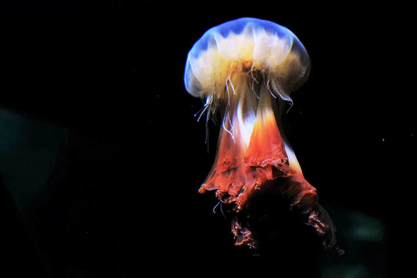 Jana Šadibolová - Začína písmenom M - 18