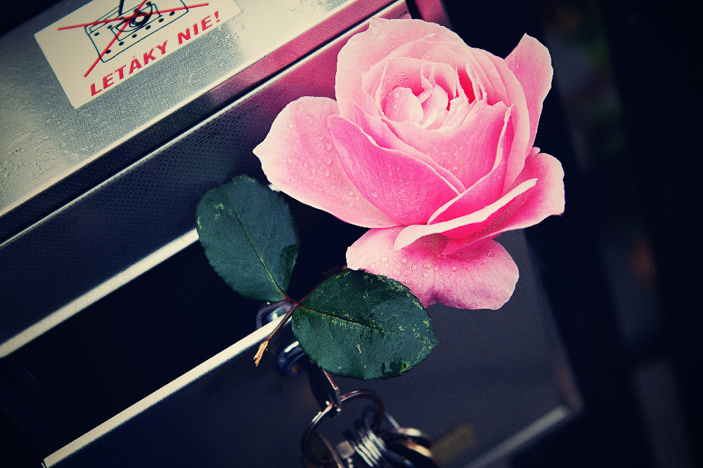 Mária Ševecová - Pošta pre teba - 41